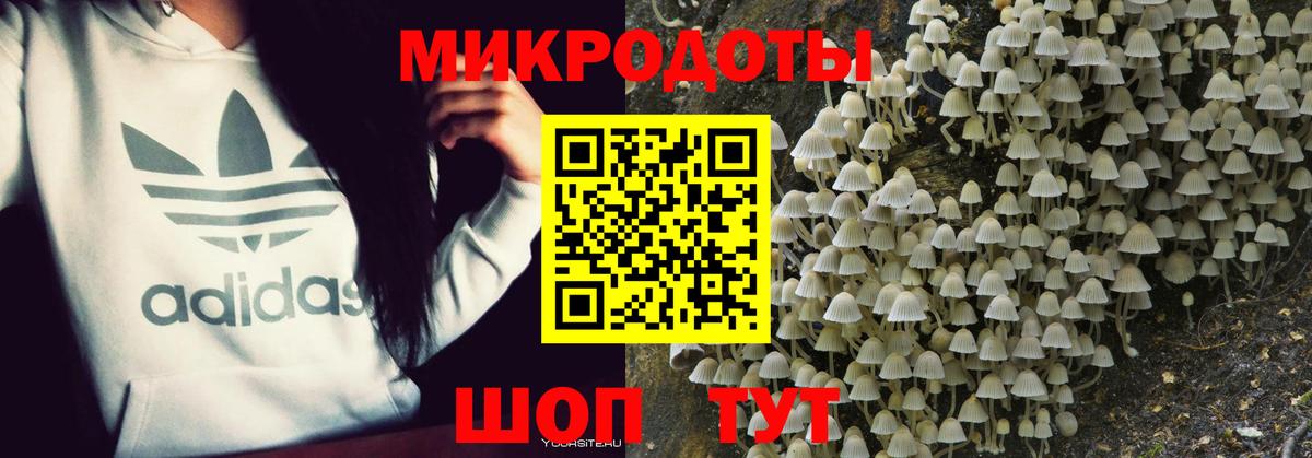 Галлюциногенные грибы MAGIC MUSHROOMS  Вход с VPN  Выборг 